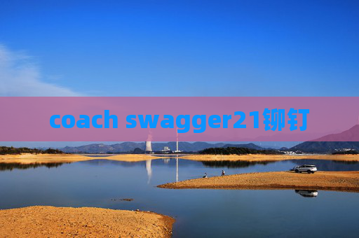 coach swagger21铆钉